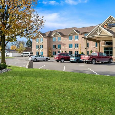 Comfort Inn & Suites Taylor Exterior photo